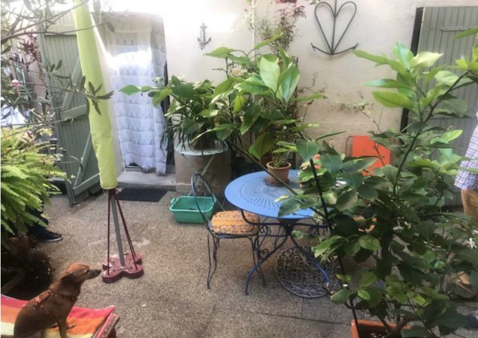 Image_2, Immeuble, Marseille, ref :lyceeperier